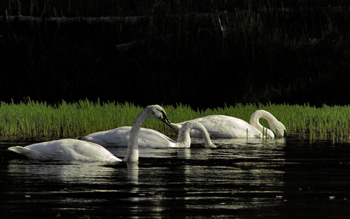 �������